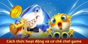 Chinh Phục Đại Dương Bắn Cá Royal Fishing Tại Zing88 Ngay 3 Chinh Phục Đại Dương Bắn Cá Royal Fishing Tại Zing88 Ngay