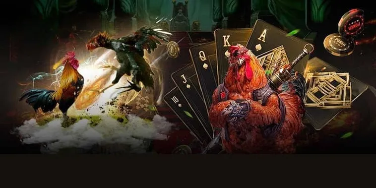 Thống Lĩnh Sới Gà GA28 Zing88 Với Chiến Thuật Cược Bất Bại 2 Thống Lĩnh Sới Gà GA28 Zing88 Với Chiến Thuật Cược Bất Bại