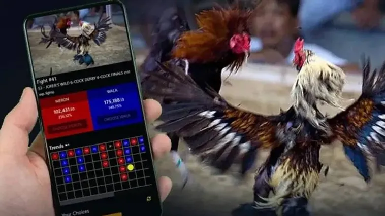 Đá Gà Zing88 Đấu Trường Rực Lửa Cho Kê Thủ Chuyên Nghiệp